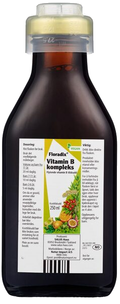 Floradix Vitamin B kompleks