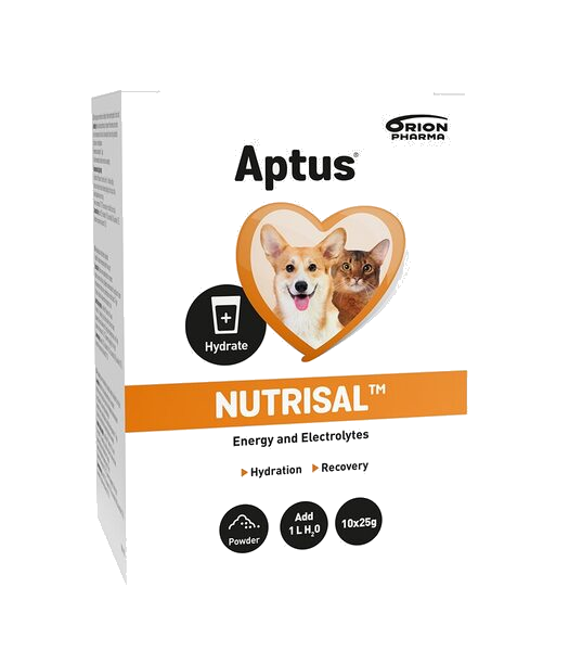 Aptus Nutrisal Pulver 10x25g