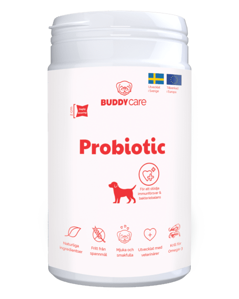 Buddy Probiotic Kosttilskudd for hund