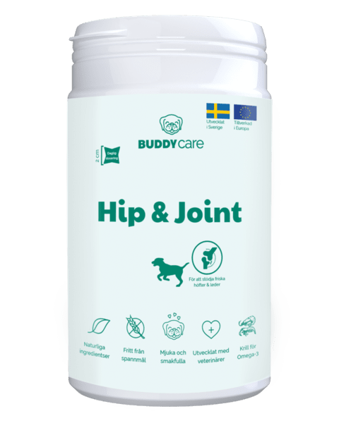 Buddy Hip og Joint Kosttilskudd til hund